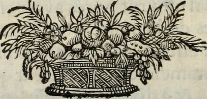 An illustration from La vie de S. Athanase, patriarche d'Alexandrie : divisée en douze livres : qui comprend encore l'histoire de S. Eustathe d'Antioche, de S. Paul de Constantinople, de S. Hilaire de Poitiers, de S. Eusebe de Verceil, des Papes Jules & Libere, & de plusieurs autres Saints; avec la naissance & le progrès de l'Arianisme, 1671, leaf 363