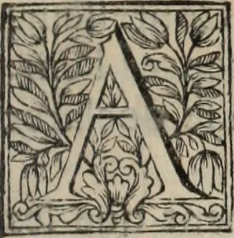 An illustration from La vie de S. Athanase, patriarche d'Alexandrie : divisée en douze livres : qui comprend encore l'histoire de S. Eustathe d'Antioche, de S. Paul de Constantinople, de S. Hilaire de Poitiers, de S. Eusebe de Verceil, des Papes Jules & Libere, & de plusieurs autres Saints; avec la naissance & le progrès de l'Arianisme, 1671, leaf 432