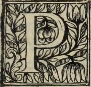 An illustration from La vie de S. Athanase, patriarche d'Alexandrie : divisée en douze livres : qui comprend encore l'histoire de S. Eustathe d'Antioche, de S. Paul de Constantinople, de S. Hilaire de Poitiers, de S. Eusebe de Verceil, des Papes Jules & Libere, & de plusieurs autres Saints; avec la naissance & le progrès de l'Arianisme, 1671, leaf 512