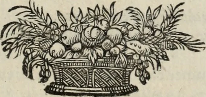 An illustration from La vie de S. Athanase, patriarche d'Alexandrie : divisée en douze livres : qui comprend encore l'histoire de S. Eustathe d'Antioche, de S. Paul de Constantinople, de S. Hilaire de Poitiers, de S. Eusebe de Verceil, des Papes Jules & Libere, & de plusieurs autres Saints; avec la naissance & le progrès de l'Arianisme, 1671, leaf 648
