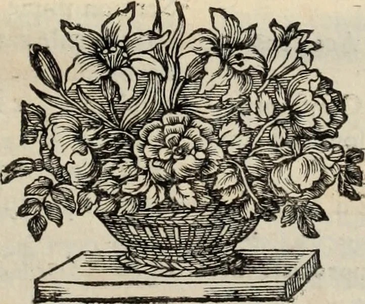 An illustration from La vie de S. Athanase, patriarche d'Alexandrie : divisée en douze livres : qui comprend encore l'histoire de S. Eustathe d'Antioche, de S. Paul de Constantinople, de S. Hilaire de Poitiers, de S. Eusebe de Verceil, des Papes Jules & Libere, & de plusieurs autres Saints; avec la naissance & le progrès de l'Arianisme, 1671, leaf 664