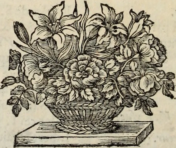 An illustration from La vie de S. Athanase, patriarche d'Alexandrie : divisée en douze livres : qui comprend encore l'histoire de S. Eustathe d'Antioche, de S. Paul de Constantinople, de S. Hilaire de Poitiers, de S. Eusebe de Verceil, des Papes Jules & Libere, & de plusieurs autres Saints; avec la naissance & le progrès de l'Arianisme, 1671, leaf 691