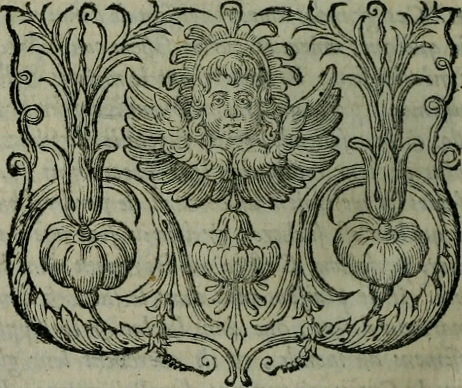 An illustration from La vie de S. Bernard premier abbé de Clairvaux et pere de l'Eglise : divisée en six livres, dont les trois premiers sont traduits du Latin de trois celebres abbez de son temps ... et les trois derniers sont tirez de ses ouvrages, 1649, leaf 145