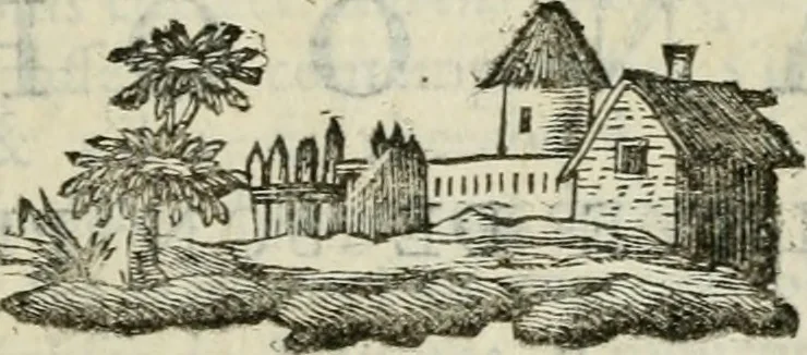 An illustration from La vie des peintres flamands, allemands et hollandois : avec des portraits gravés en taille-douche, une indication de leurs principaux ouvrages, & des réflexions sur leurs différentes manieres, 1753, leaf 248