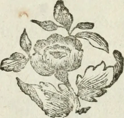An illustration from La vie des peintres flamands, allemands et hollandois : avec des portraits gravés en taille-douche, une indication de leurs principaux ouvrages, & des réflexions sur leurs différentes manieres, 1753, leaf 377