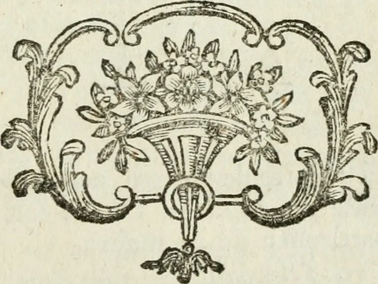 An illustration from La vie des peintres flamands, allemands et hollandois : avec des portraits gravés en taille-douche, une indication de leurs principaux ouvrages, & des réflexions sur leurs différentes manieres, 1753, leaf 380