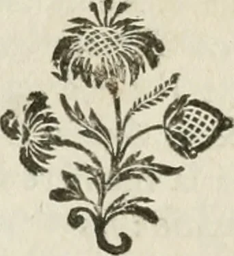 An illustration from La vie des peintres flamands, allemands et hollandois : avec des portraits gravés en taille-douche, une indication de leurs principaux ouvrages, & des réflexions sur leurs différentes manieres, 1753, leaf 409
