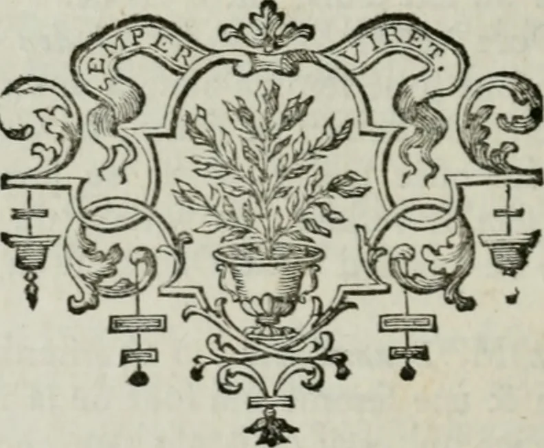 An illustration from La vie des peintres flamands, allemands et hollandois : avec des portraits gravés en taille-douche, une indication de leurs principaux ouvrages, & des réflexions sur leurs différentes manieres, 1753, leaf 135