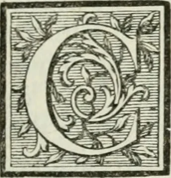 An illustration from La vie des peintres flamands, allemands et hollandois : avec des portraits gravés en taille-douche, une indication de leurs principaux ouvrages, & des réflexions sur leurs différentes manieres, 1753, leaf 136