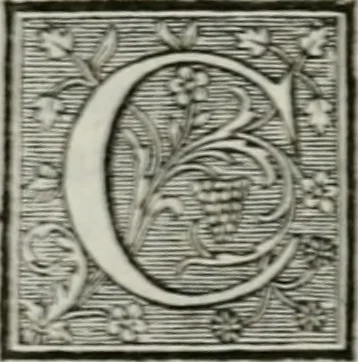 An illustration from La vie des peintres flamands, allemands et hollandois : avec des portraits gravés en taille-douche, une indication de leurs principaux ouvrages, & des réflexions sur leurs différentes manieres, 1753, leaf 145
