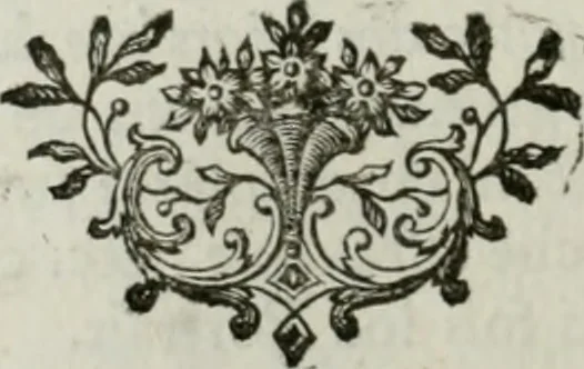 An illustration from La vie des peintres flamands, allemands et hollandois : avec des portraits gravés en taille-douche, une indication de leurs principaux ouvrages, & des réflexions sur leurs différentes manieres, 1753, leaf 147
