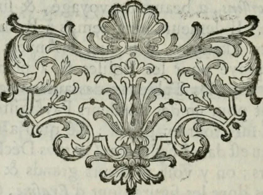An illustration from La vie des peintres flamands, allemands et hollandois : avec des portraits gravés en taille-douche, une indication de leurs principaux ouvrages, & des réflexions sur leurs différentes manieres, 1753, leaf 205