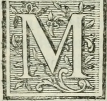 An illustration from La vie des peintres flamands, allemands et hollandois : avec des portraits gravés en taille-douche, une indication de leurs principaux ouvrages, & des réflexions sur leurs différentes manieres, 1753, leaf 246
