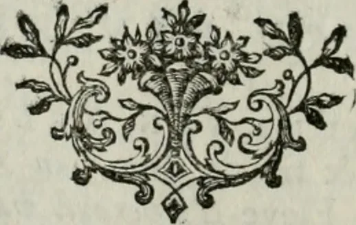 An illustration from La vie des peintres flamands, allemands et hollandois : avec des portraits gravés en taille-douche, une indication de leurs principaux ouvrages, & des réflexions sur leurs différentes manieres, 1753, leaf 285