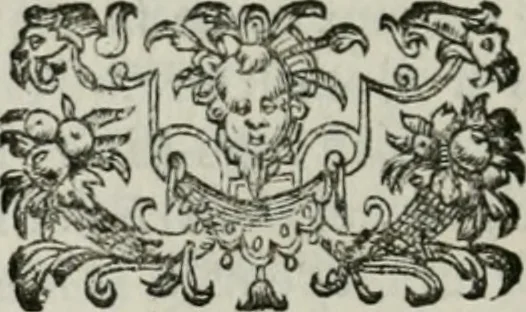 An illustration from La vie des peintres flamands, allemands et hollandois : avec des portraits gravés en taille-douche, une indication de leurs principaux ouvrages, & des réflexions sur leurs différentes manieres, 1753, leaf 289