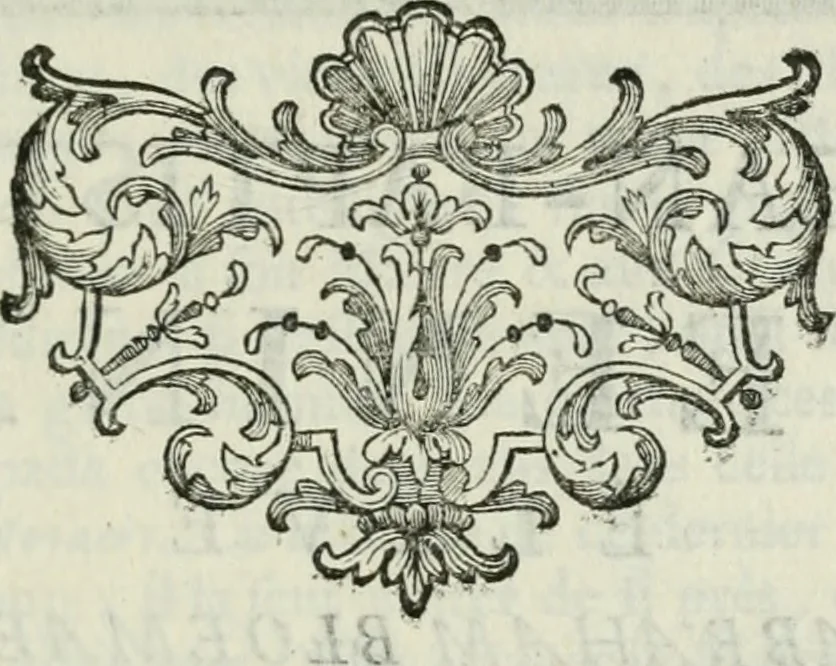 An illustration from La vie des peintres flamands, allemands et hollandois : avec des portraits gravés en taille-douche, une indication de leurs principaux ouvrages, & des réflexions sur leurs différentes manieres, 1753, leaf 312