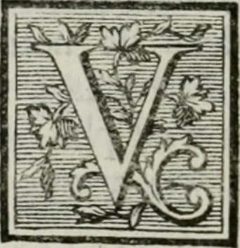 An illustration from La vie des peintres flamands, allemands et hollandois : avec des portraits gravés en taille-douche, une indication de leurs principaux ouvrages, & des réflexions sur leurs différentes manieres, 1753, leaf 337