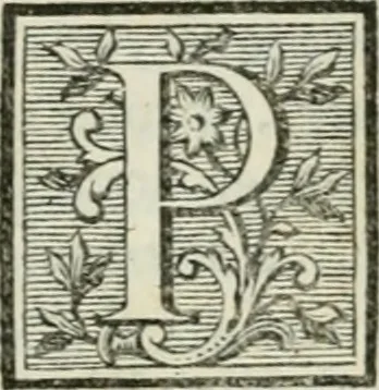 An illustration from La vie des peintres flamands, allemands et hollandois : avec des portraits gravés en taille-douche, une indication de leurs principaux ouvrages, & des réflexions sur leurs différentes manieres, 1753, leaf 358