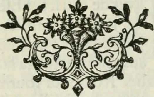 An illustration from La vie des peintres flamands, allemands et hollandois : avec des portraits gravés en taille-douche, une indication de leurs principaux ouvrages, & des réflexions sur leurs différentes manieres, 1753, leaf 378