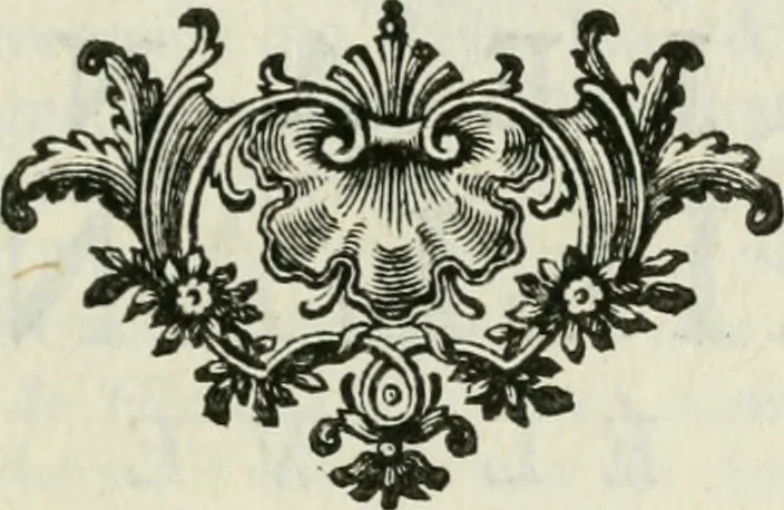 An illustration from La vie des peintres flamands, allemands et hollandois : avec des portraits gravés en taille-douche, une indication de leurs principaux ouvrages, & des réflexions sur leurs différentes manieres, 1753, leaf 386