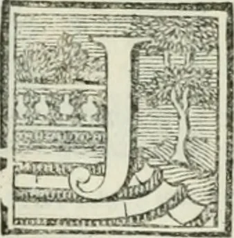 An illustration from La vie des peintres flamands, allemands et hollandois : avec des portraits gravés en taille-douche, une indication de leurs principaux ouvrages, & des réflexions sur leurs différentes manieres, 1753, leaf 412