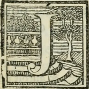An illustration from La vie des peintres flamands, allemands et hollandois : avec des portraits gravés en taille-douche, une indication de leurs principaux ouvrages, & des réflexions sur leurs différentes manieres, 1753, leaf 6