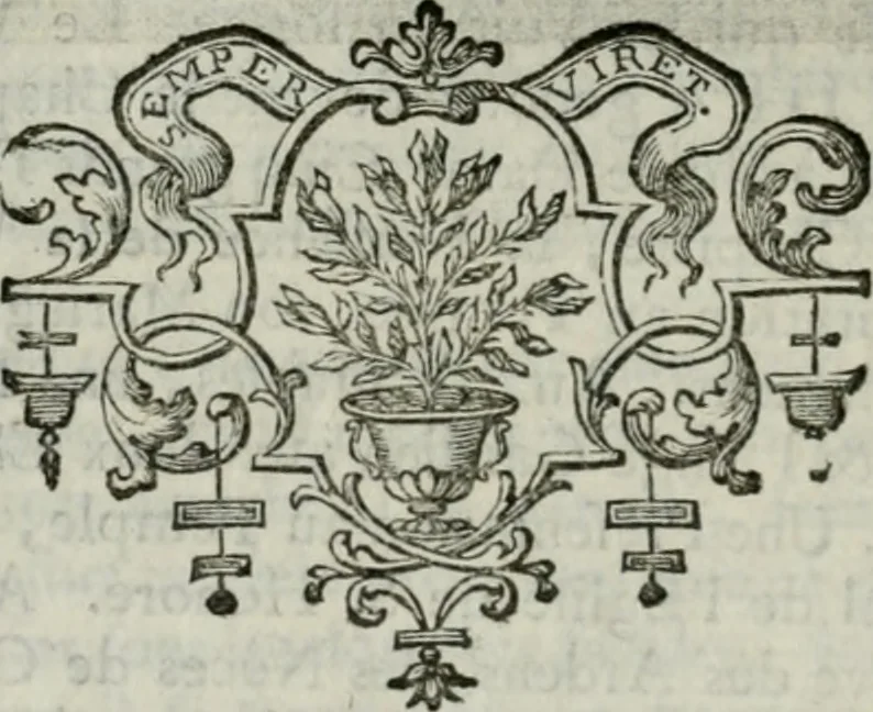 An illustration from La vie des peintres flamands, allemands et hollandois : avec des portraits gravés en taille-douche, une indication de leurs principaux ouvrages, & des réflexions sur leurs différentes manieres, 1753, leaf 73