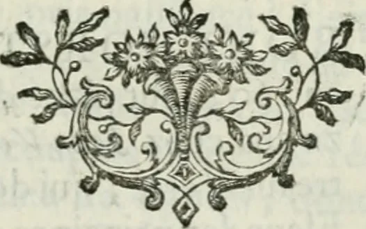 An illustration from La vie des peintres flamands, allemands et hollandois : avec des portraits gravés en taille-douche, une indication de leurs principaux ouvrages, & des réflexions sur leurs différentes manieres, 1753, leaf 76