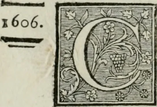 An illustration from La vie des peintres flamands, allemands et hollandois : avec des portraits gravés en taille-douche, une indication de leurs principaux ouvrages, & des réflexions sur leurs différentes manieres, 1753, leaf 89