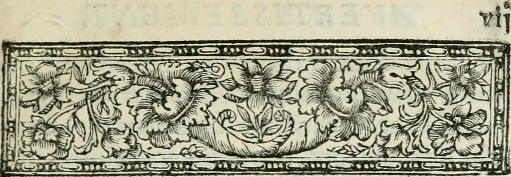 An illustration from La vie des peintres flamands, allemands et hollandois : avec des portraits gravés en taille-douche, une indication de leurs principaux ouvrages, & des réflexions sur leurs différentes manieres, 1753, leaf 12