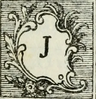 An illustration from La vie des peintres flamands, allemands et hollandois : avec des portraits gravés en taille-douche, une indication de leurs principaux ouvrages, & des réflexions sur leurs différentes manieres, 1753, leaf 226