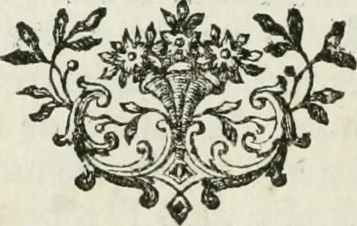 An illustration from La vie des peintres flamands, allemands et hollandois : avec des portraits gravés en taille-douche, une indication de leurs principaux ouvrages, & des réflexions sur leurs différentes manieres, 1753, leaf 243