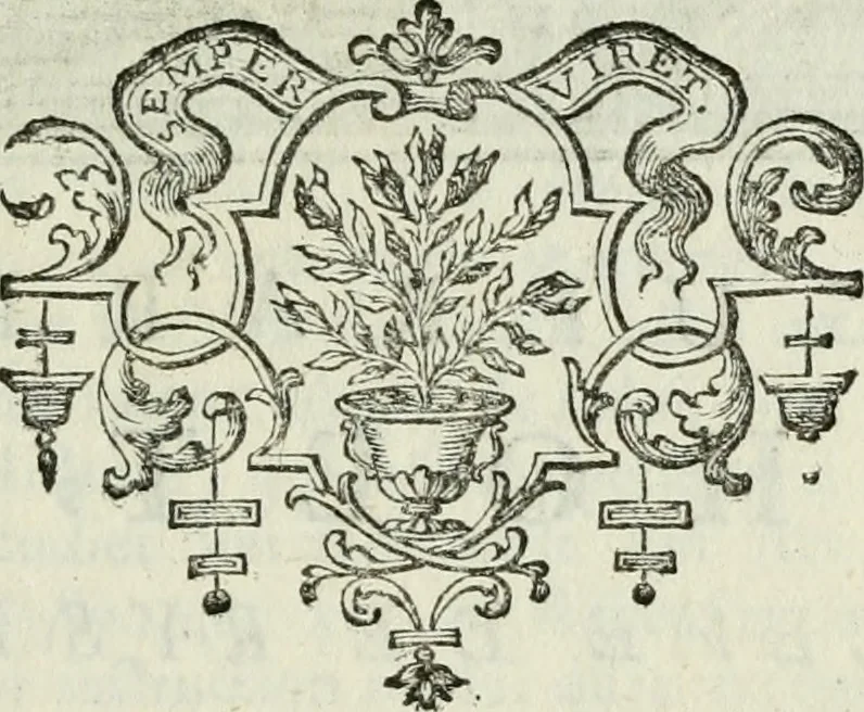 An illustration from La vie des peintres flamands, allemands et hollandois : avec des portraits gravés en taille-douche, une indication de leurs principaux ouvrages, & des réflexions sur leurs différentes manieres, 1753, leaf 250