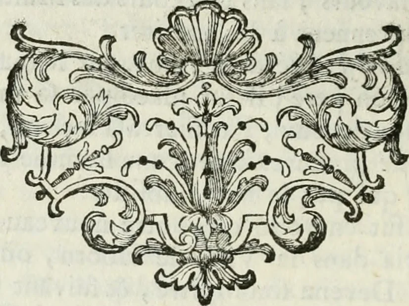 An illustration from La vie des peintres flamands, allemands et hollandois : avec des portraits gravés en taille-douche, une indication de leurs principaux ouvrages, & des réflexions sur leurs différentes manieres, 1753, leaf 259