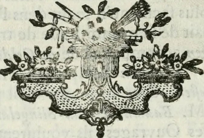 An illustration from La vie des peintres flamands, allemands et hollandois : avec des portraits gravés en taille-douche, une indication de leurs principaux ouvrages, & des réflexions sur leurs différentes manieres, 1753, leaf 269