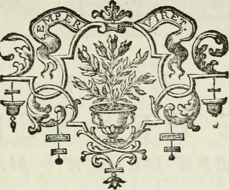 An illustration from La vie des peintres flamands, allemands et hollandois : avec des portraits gravés en taille-douche, une indication de leurs principaux ouvrages, & des réflexions sur leurs différentes manieres, 1753, leaf 352