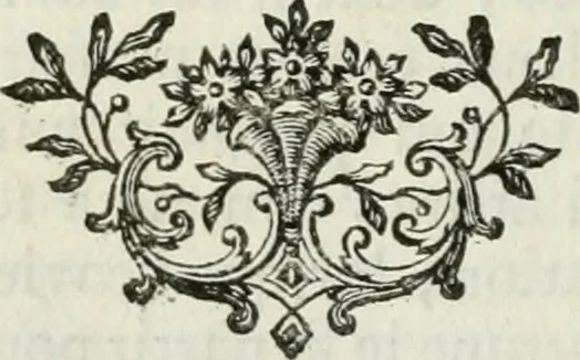 An illustration from La vie des peintres flamands, allemands et hollandois : avec des portraits gravés en taille-douche, une indication de leurs principaux ouvrages, & des réflexions sur leurs différentes manieres, 1753, leaf 393