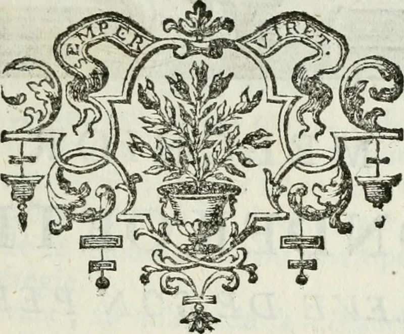 An illustration from La vie des peintres flamands, allemands et hollandois : avec des portraits gravés en taille-douche, une indication de leurs principaux ouvrages, & des réflexions sur leurs différentes manieres, 1753, leaf 62