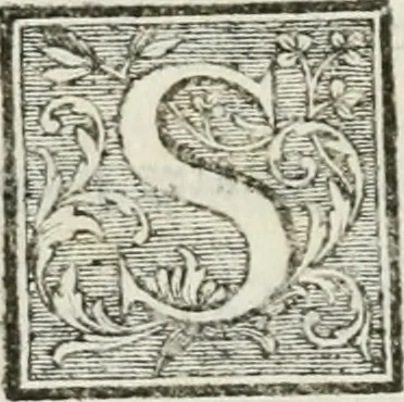 An illustration from La vie des peintres flamands, allemands et hollandois : avec des portraits gravés en taille-douche, une indication de leurs principaux ouvrages, & des réflexions sur leurs différentes manieres, 1753, leaf 91
