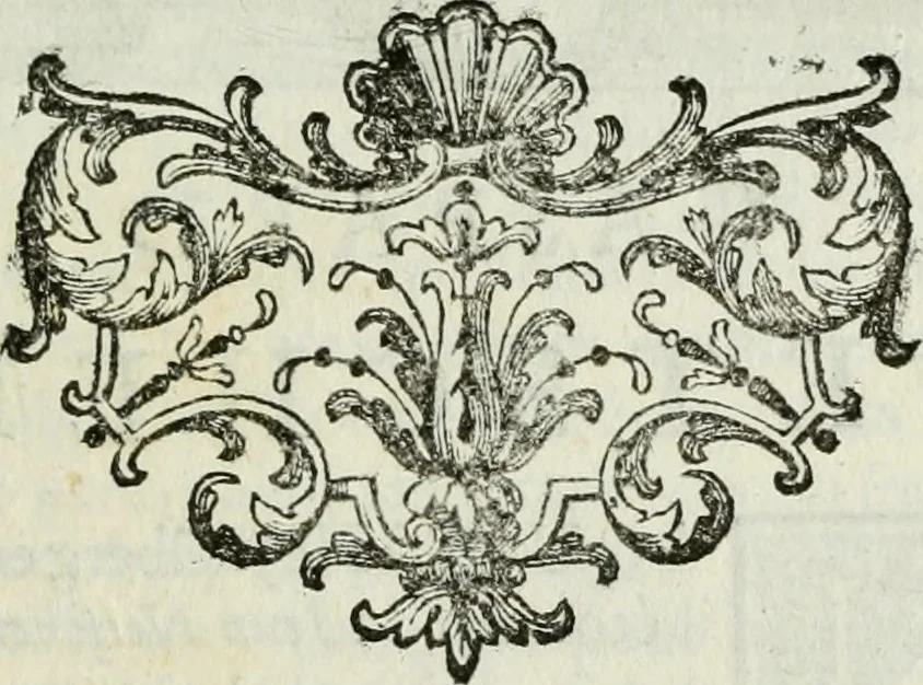 An illustration from La vie des peintres flamands, allemands et hollandois : avec des portraits gravés en taille-douche, une indication de leurs principaux ouvrages, & des réflexions sur leurs différentes manieres, 1753, leaf 96