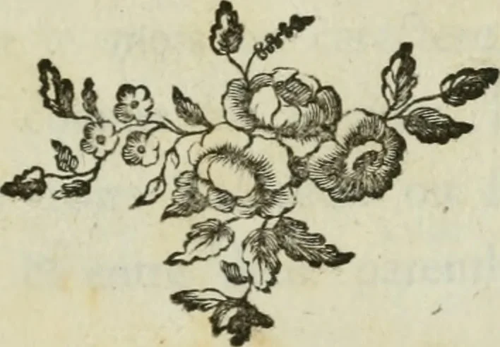 An illustration from La vie des peintres flamands, allemands et hollandois : avec des portraits gravés en taille-douche, une indication de leurs principaux ouvrages, & des réflexions sur leurs différentes manieres, 1753, leaf 6