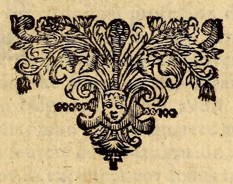 An illustration from La vie et les actions memorables du Sr. Michel de Ruyter, duc, chevalier, & lieutenant amiral general des Provinces Unies, 1678, leaf 383