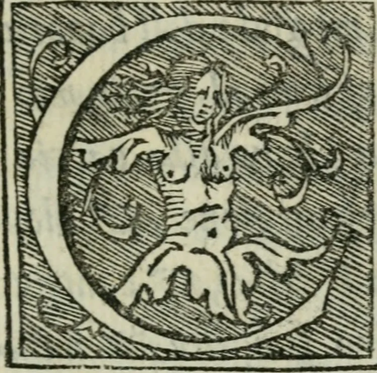 An illustration from La villa : dialogo, 1559, leaf 26