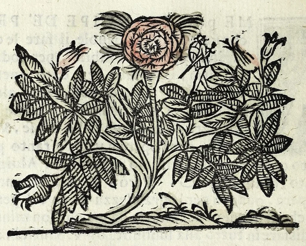 An illustration from La virtv : dialogo di Camillo Agrippa milanese, sopra la dichiaratione de la cavsa de'moti, tolti da le parole scritte nel Dialogo de' venti, 1598, leaf 10