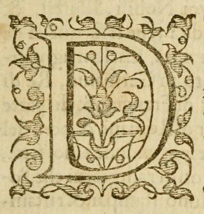 An illustration from La vita di Carlo Magno imperadore:, 1599, leaf 11