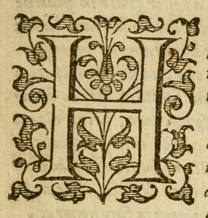 An illustration from La vita di Carlo Magno imperadore:, 1599, leaf 13