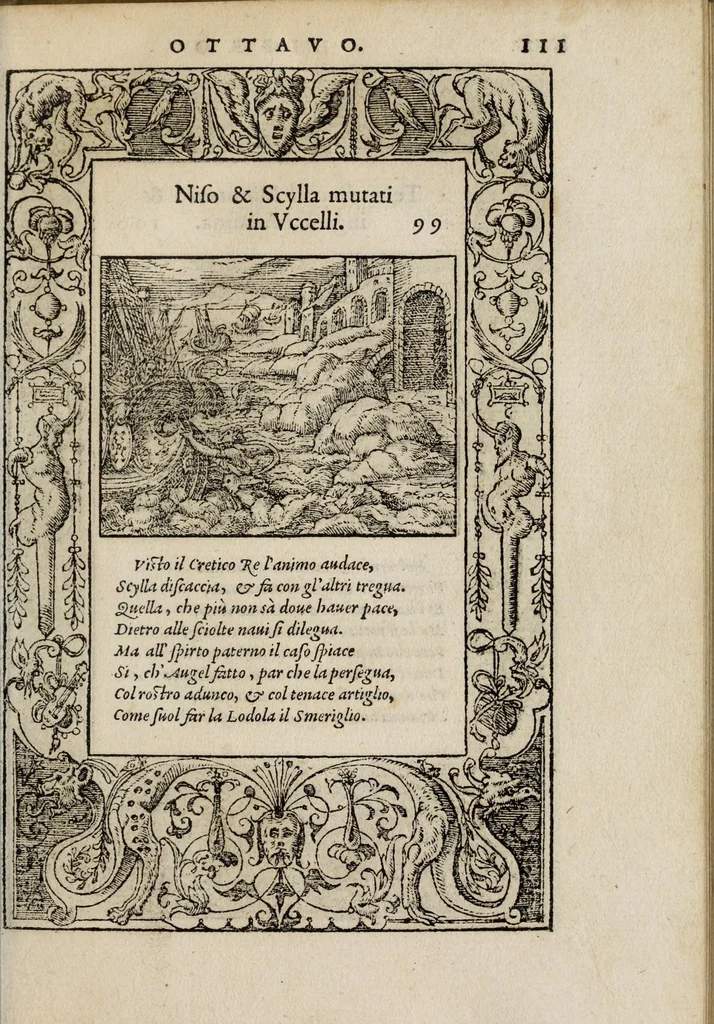 An illustration from La vita et Metamorfoseo d'Ovidio, 1559, leaf 117