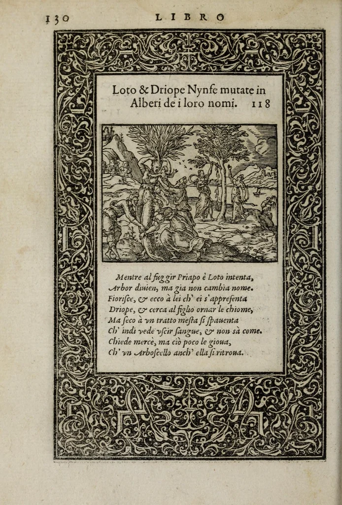 An illustration from La vita et Metamorfoseo d'Ovidio, 1559, leaf 136