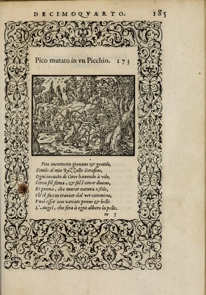 An illustration from La vita et Metamorfoseo d'Ovidio, 1559, leaf 191