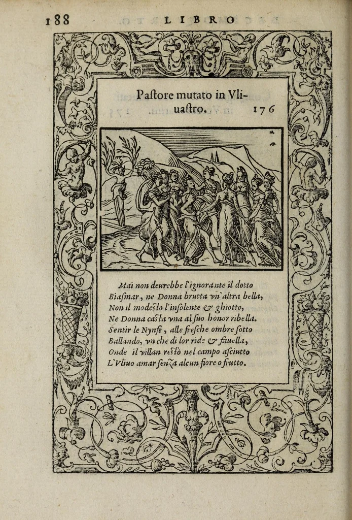 An illustration from La vita et Metamorfoseo d'Ovidio, 1559, leaf 194